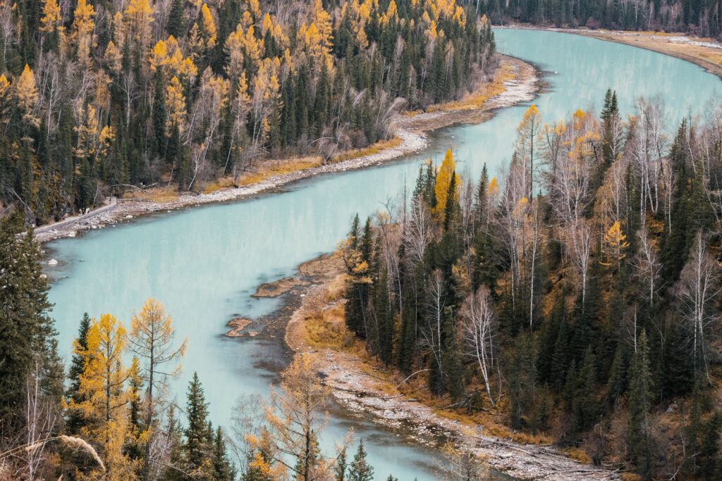 winding turquoise river in autumn forest 2026 01 07 23 38 15 utc scaled