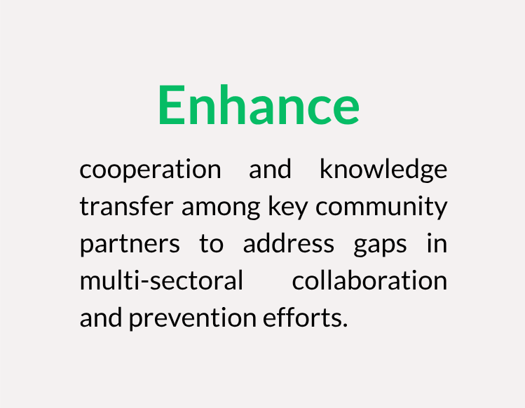 Enhance cooperation and knowledge transfer among key community partners to address gaps in multi-sectoral collaboration and prevention efforts.